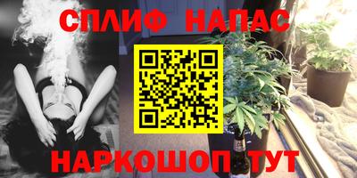 mdpv Славгород