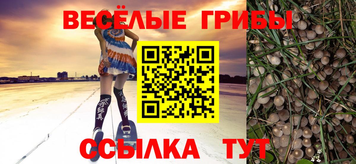 Псилоцибиновые грибы Cubensis  Вход с VPN  Нижнеудинск 